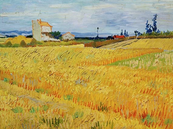 van gogh wheat fields