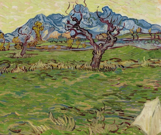 vincent van gogh landscape