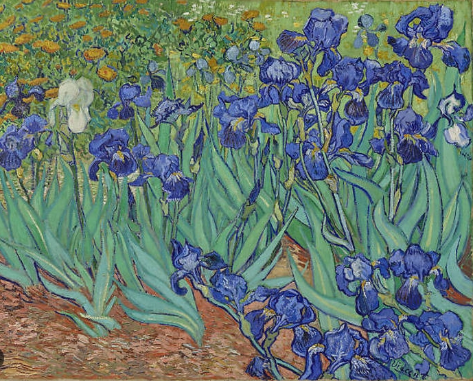 vincent van gogh best paintings