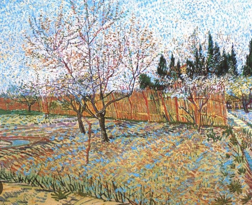 vincent van gogh verger avec cyprès