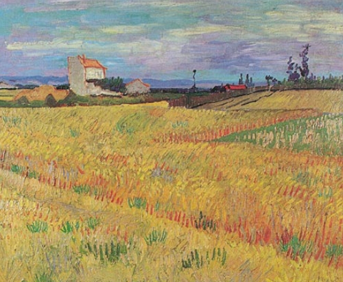 van gogh fields