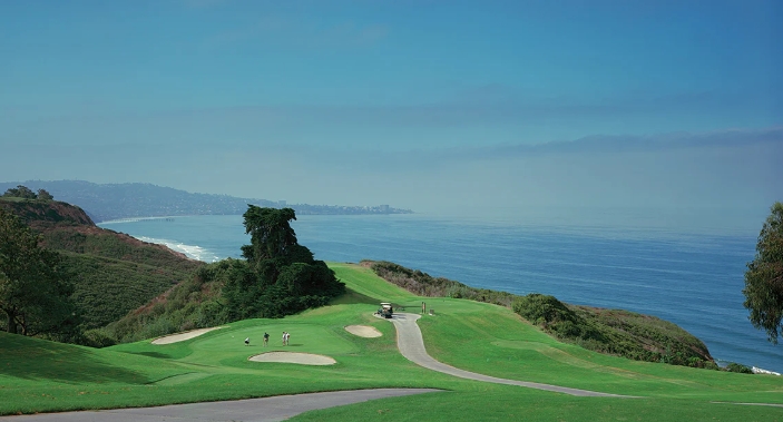 golf course canvas art