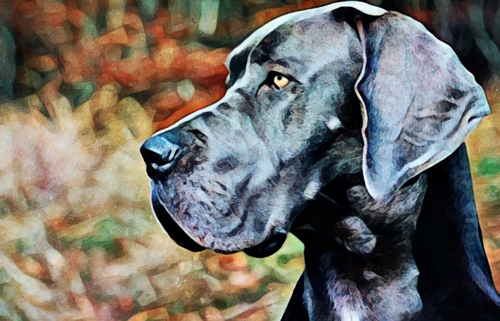 great dane artwork